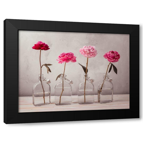 Peonies in glass bottles Black Modern Wood Framed Art Print by Frank, Assaf