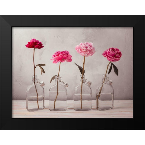 Peonies in glass bottles Black Modern Wood Framed Art Print by Frank, Assaf