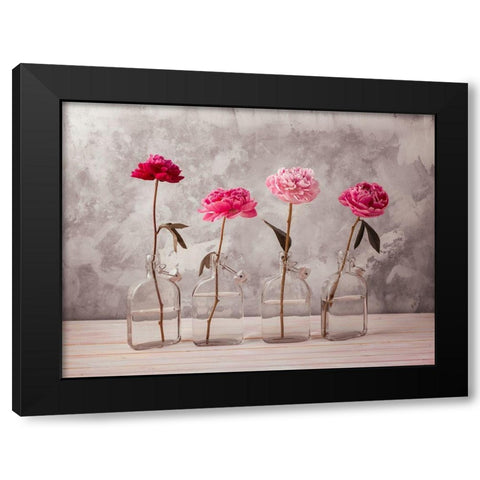 Peonies in glass bottles Black Modern Wood Framed Art Print with Double Matting by Frank, Assaf