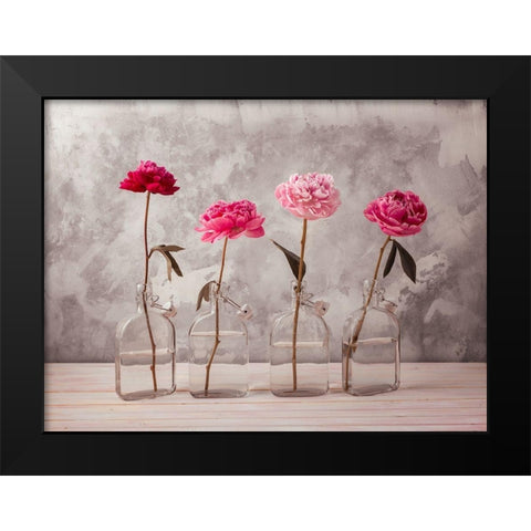 Peonies in glass bottles Black Modern Wood Framed Art Print by Frank, Assaf