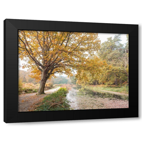 Basingstoke Canal Black Modern Wood Framed Art Print with Double Matting by Frank, Assaf