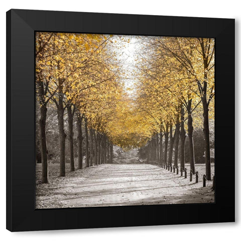 Road through trees Black Modern Wood Framed Art Print with Double Matting by Frank, Assaf