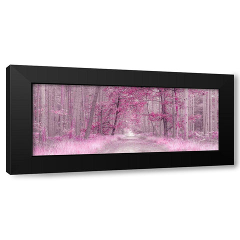 Pathway through Autumn forest, FTBR 1843 Black Modern Wood Framed Art Print by Frank, Assaf