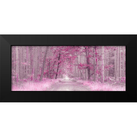 Pathway through Autumn forest, FTBR 1843 Black Modern Wood Framed Art Print by Frank, Assaf