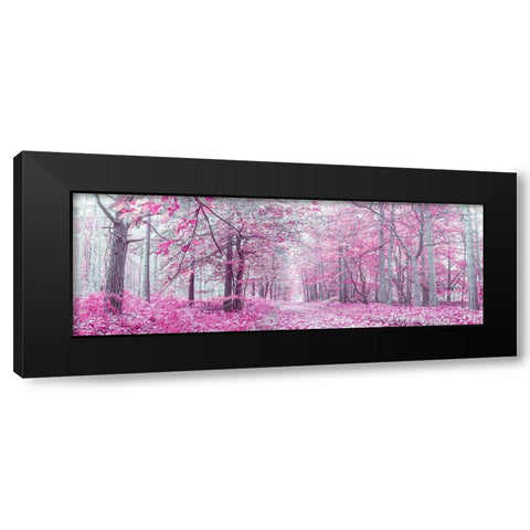 Pathway through Autumn forest Black Modern Wood Framed Art Print by Frank, Assaf