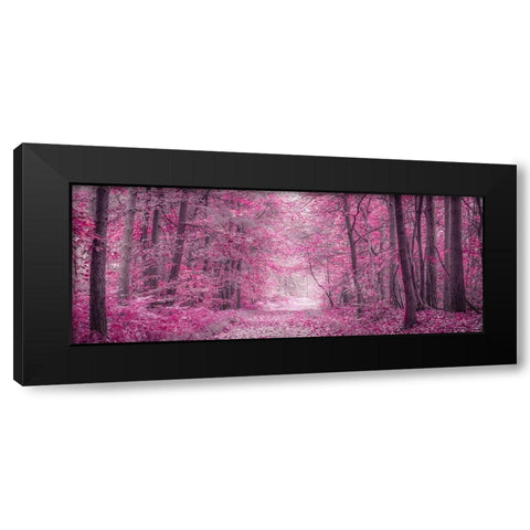 Pathway through Autumn forest Black Modern Wood Framed Art Print by Frank, Assaf