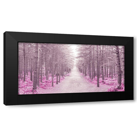 Pathway through Autumn forest, FTBR 1844 Black Modern Wood Framed Art Print by Frank, Assaf