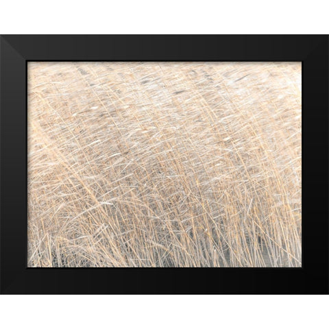 Brown reeds growing in water Black Modern Wood Framed Art Print by Frank, Assaf
