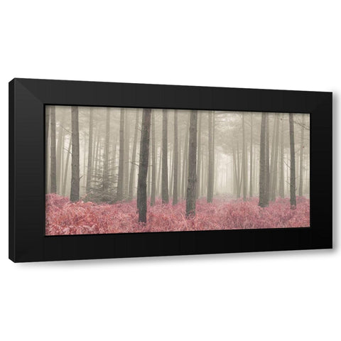 Misty forest with tall trees and foliage, FTBR 1845 Black Modern Wood Framed Art Print by Frank, Assaf