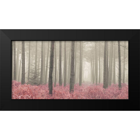 Misty forest with tall trees and foliage, FTBR 1845 Black Modern Wood Framed Art Print by Frank, Assaf