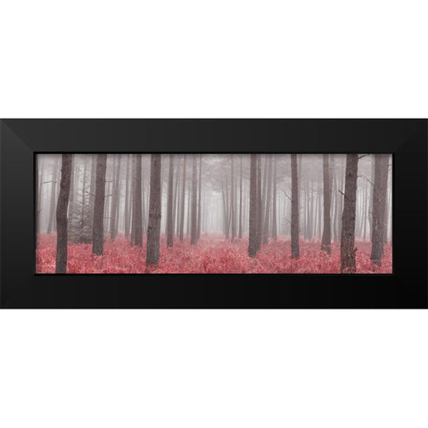 Misty forest with tall trees and foliage, FTBR 1846 Black Modern Wood Framed Art Print by Frank, Assaf