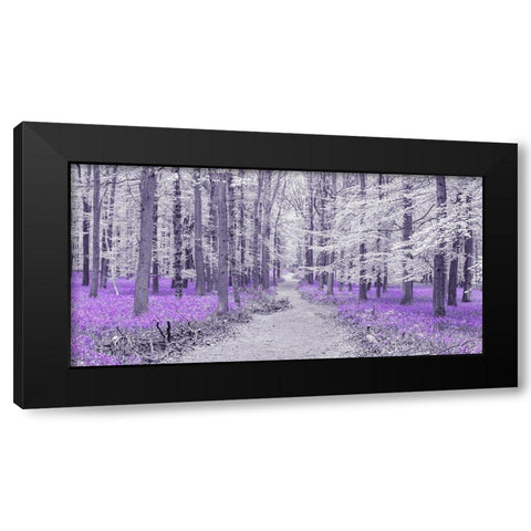 Path through bluebell forest, FTBR 1848 Black Modern Wood Framed Art Print by Frank, Assaf