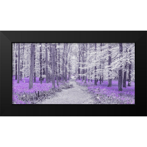 Path through bluebell forest, FTBR 1848 Black Modern Wood Framed Art Print by Frank, Assaf