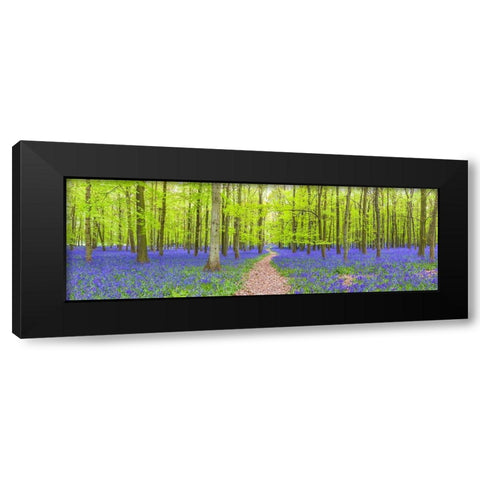 Bluebells Black Modern Wood Framed Art Print with Double Matting by Frank, Assaf