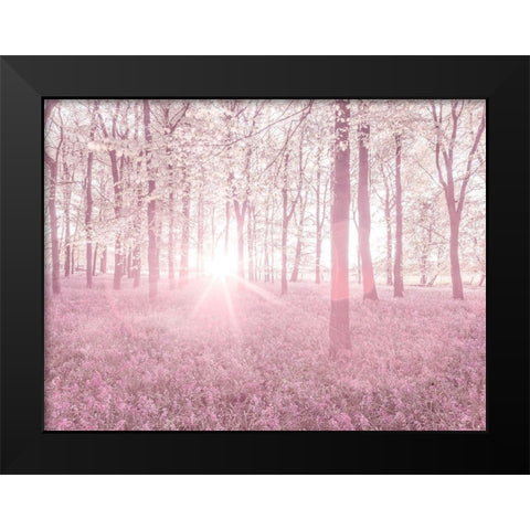 Bluebells in pink Black Modern Wood Framed Art Print by Frank, Assaf