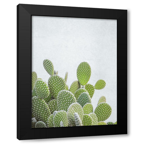 Cactus plant Black Modern Wood Framed Art Print with Double Matting by Frank, Assaf