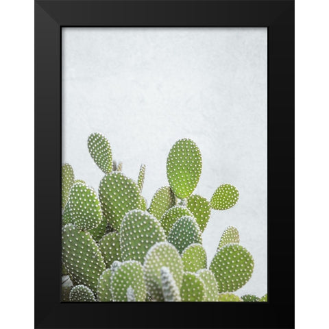 Cactus plant Black Modern Wood Framed Art Print by Frank, Assaf