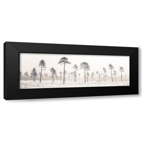 Snowy forest in winter Black Modern Wood Framed Art Print with Double Matting by Frank, Assaf