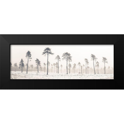 Snowy forest in winter Black Modern Wood Framed Art Print by Frank, Assaf