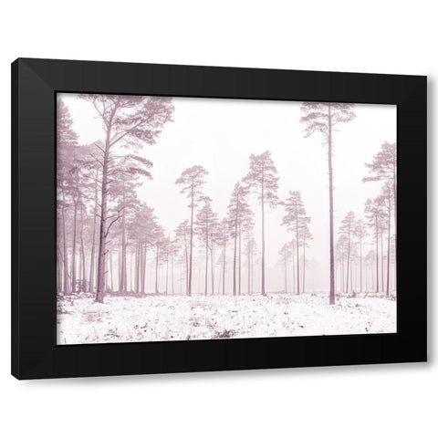 Snowy forest in winter Black Modern Wood Framed Art Print by Frank, Assaf