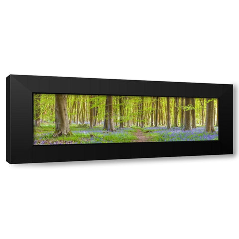 Pathway through forest Black Modern Wood Framed Art Print with Double Matting by Frank, Assaf