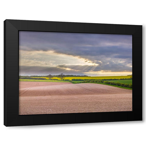 Farm fields in Hampshire during spring Black Modern Wood Framed Art Print by Frank, Assaf