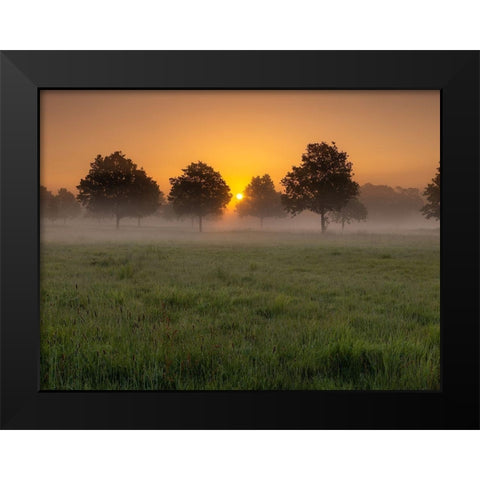 Misty sunrise in countryside-Berkshire-UK Black Modern Wood Framed Art Print by Frank, Assaf