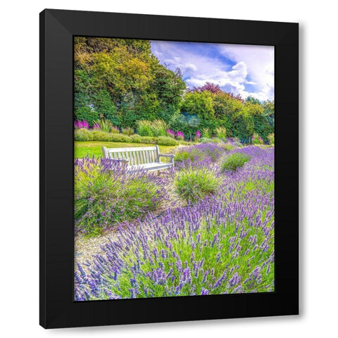 Lavender field Black Modern Wood Framed Art Print with Double Matting by Frank, Assaf