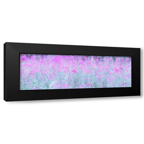 Chamaenerion flowers Black Modern Wood Framed Art Print by Frank, Assaf