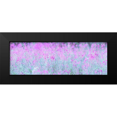 Chamaenerion flowers Black Modern Wood Framed Art Print by Frank, Assaf