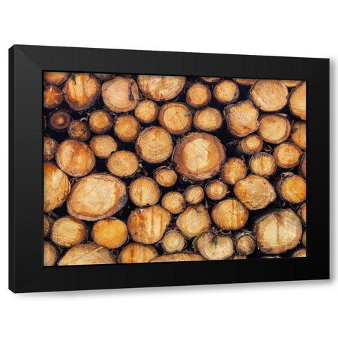 Wood logs Black Modern Wood Framed Art Print with Double Matting by Frank, Assaf