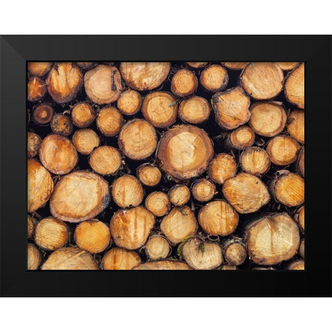 Wood logs Black Modern Wood Framed Art Print by Frank, Assaf
