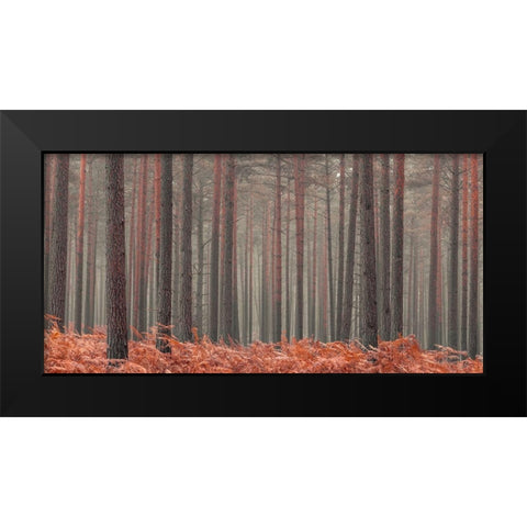 Misty Forest Black Modern Wood Framed Art Print by Frank, Assaf