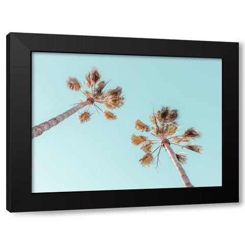 Palm trees Black Modern Wood Framed Art Print by Frank, Assaf