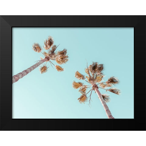 Palm trees Black Modern Wood Framed Art Print by Frank, Assaf