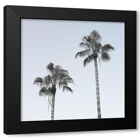 Palm trees Black Modern Wood Framed Art Print by Frank, Assaf