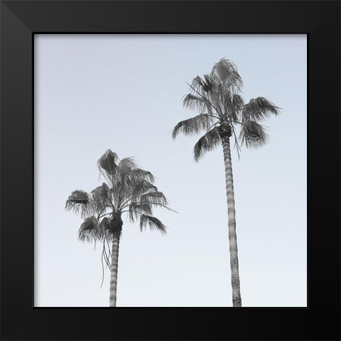 Palm trees Black Modern Wood Framed Art Print by Frank, Assaf