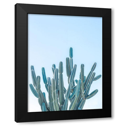Cactus Black Modern Wood Framed Art Print with Double Matting by Frank, Assaf