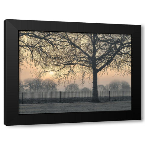 Misty morning Black Modern Wood Framed Art Print with Double Matting by Frank, Assaf