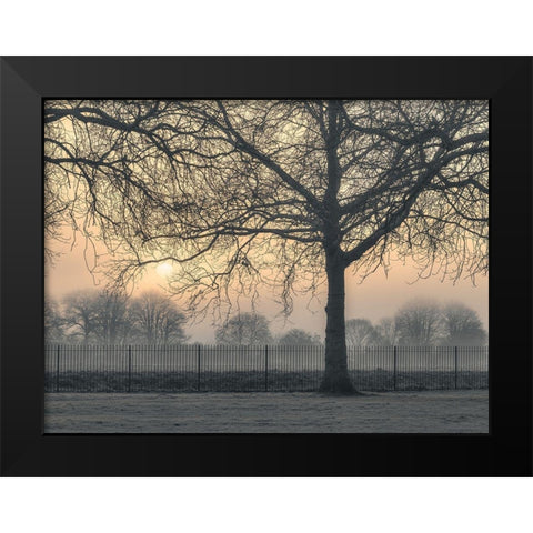 Misty morning Black Modern Wood Framed Art Print by Frank, Assaf