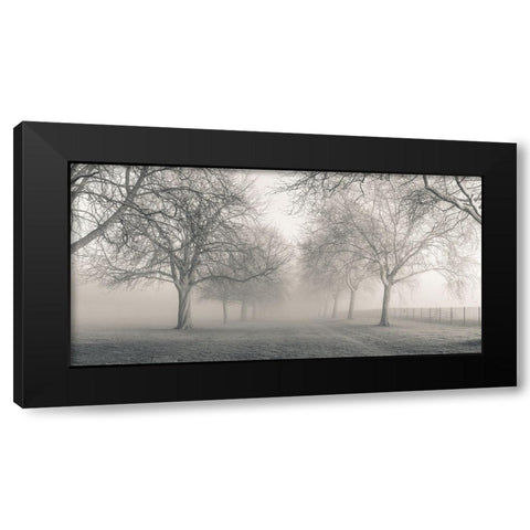 Pathway through trees Black Modern Wood Framed Art Print with Double Matting by Frank, Assaf