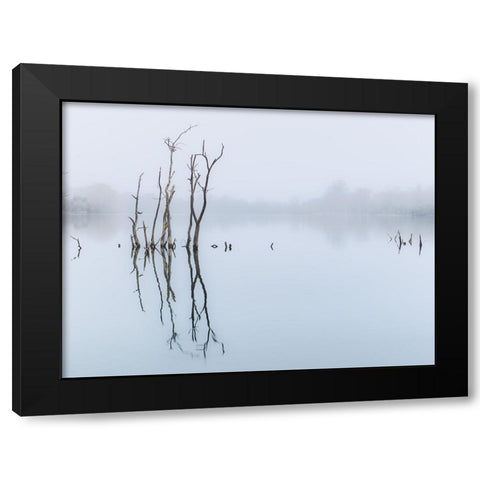 Branches in lake, reflection Black Modern Wood Framed Art Print by Frank, Assaf