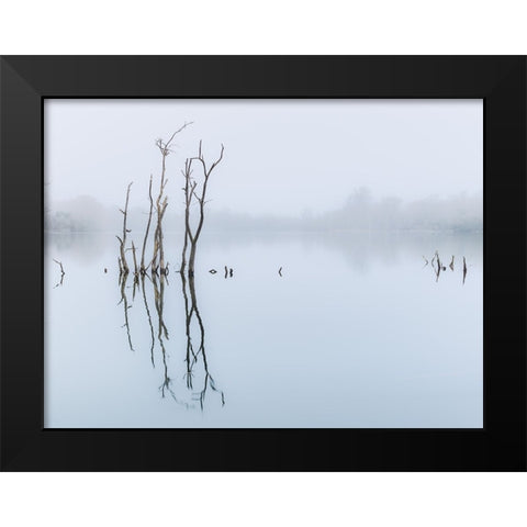Branches in lake, reflection Black Modern Wood Framed Art Print by Frank, Assaf