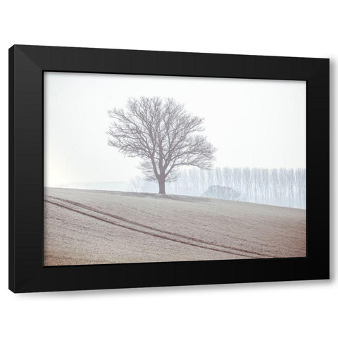 Trees on a hill Black Modern Wood Framed Art Print with Double Matting by Frank, Assaf