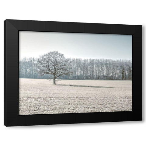 Trees on grass field Black Modern Wood Framed Art Print with Double Matting by Frank, Assaf