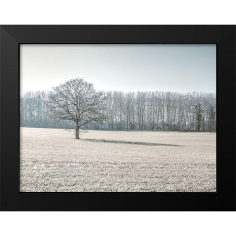 Trees on grass field Black Modern Wood Framed Art Print by Frank, Assaf
