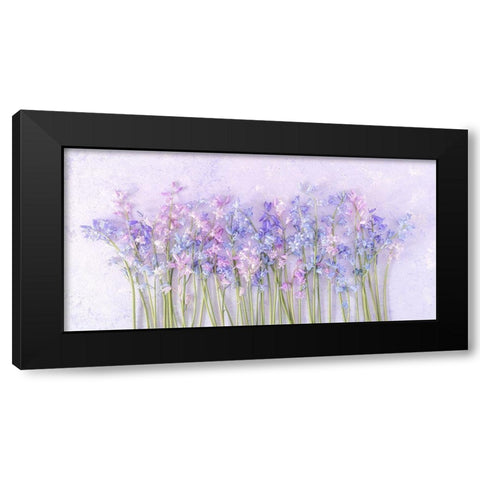 Bluebell flowers Black Modern Wood Framed Art Print by Frank, Assaf