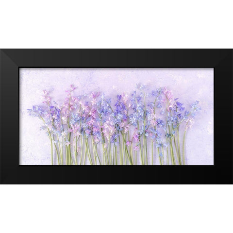 Bluebell flowers Black Modern Wood Framed Art Print by Frank, Assaf