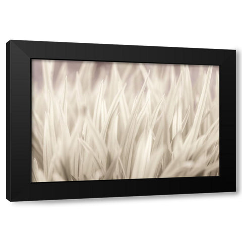 Grass Black Modern Wood Framed Art Print by Frank, Assaf