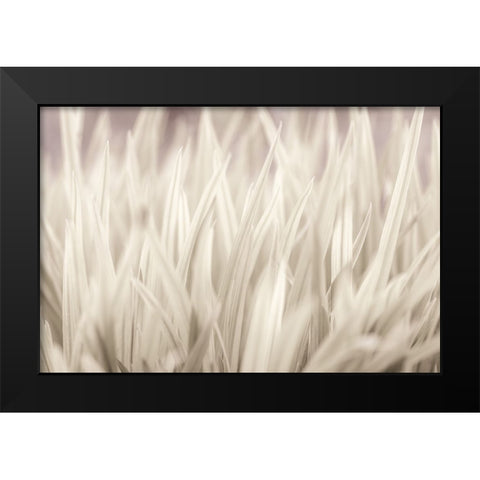 Grass Black Modern Wood Framed Art Print by Frank, Assaf